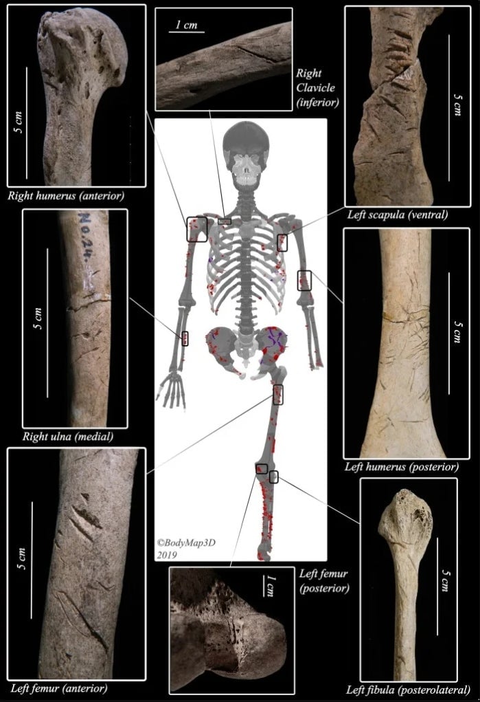 Photo: Universidad de Kyoto