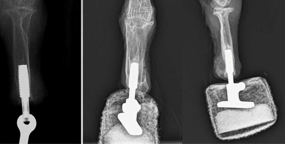 Image: Scientific Reports/ CC BY 4.0