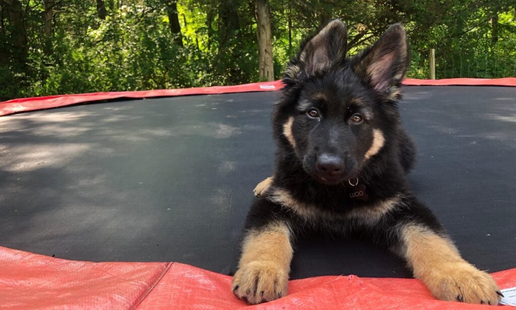 Photo: Andrew Couts / Gizmodo.