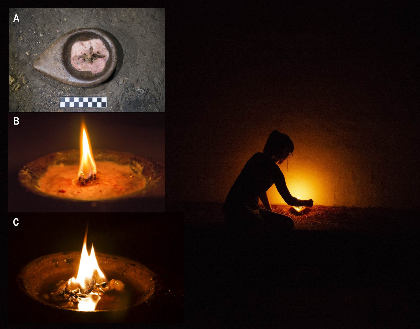 Photo: Iñaki Líbano et al, PLOS One 2021