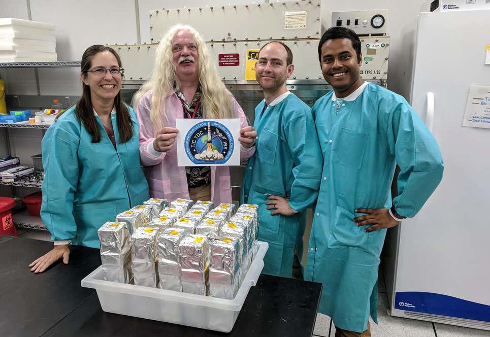 El equipo de Gilroy Lab TICTOC. De izquierda a derecha: Sarah Swanson, Simon Gilroy, Richard Barker y Arkadipta Bakshi.