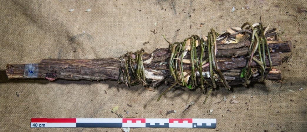 Photo: Iñaki Líbano et al, PLOS One 2021