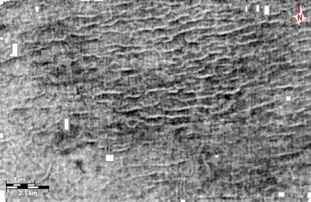 Image: Kaare Egedahl / Universidad de Lousiana