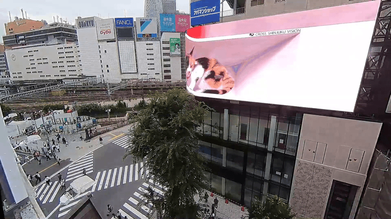 Gif: YouTube