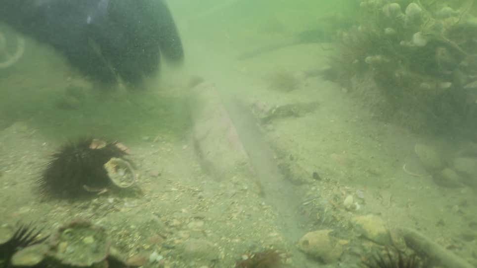 Una de las piedras encontradas cuando la unidad de la policía de buceo revisó el sitio en 2020.