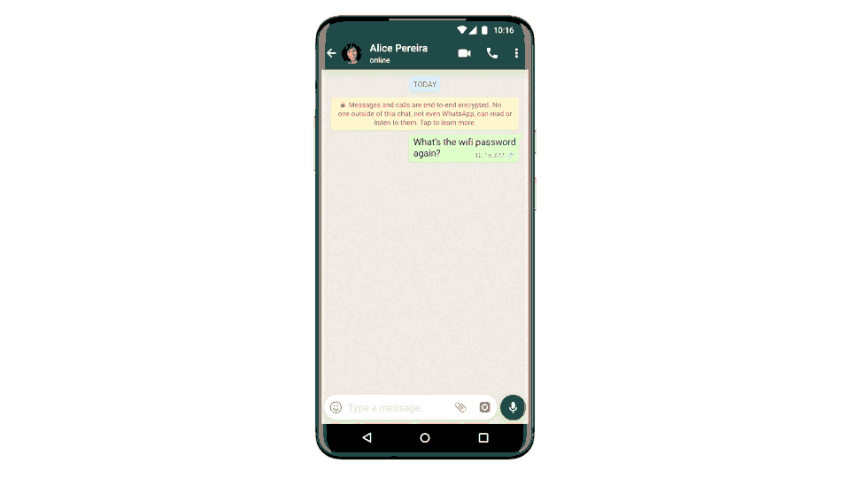 Gif: WhatsApp