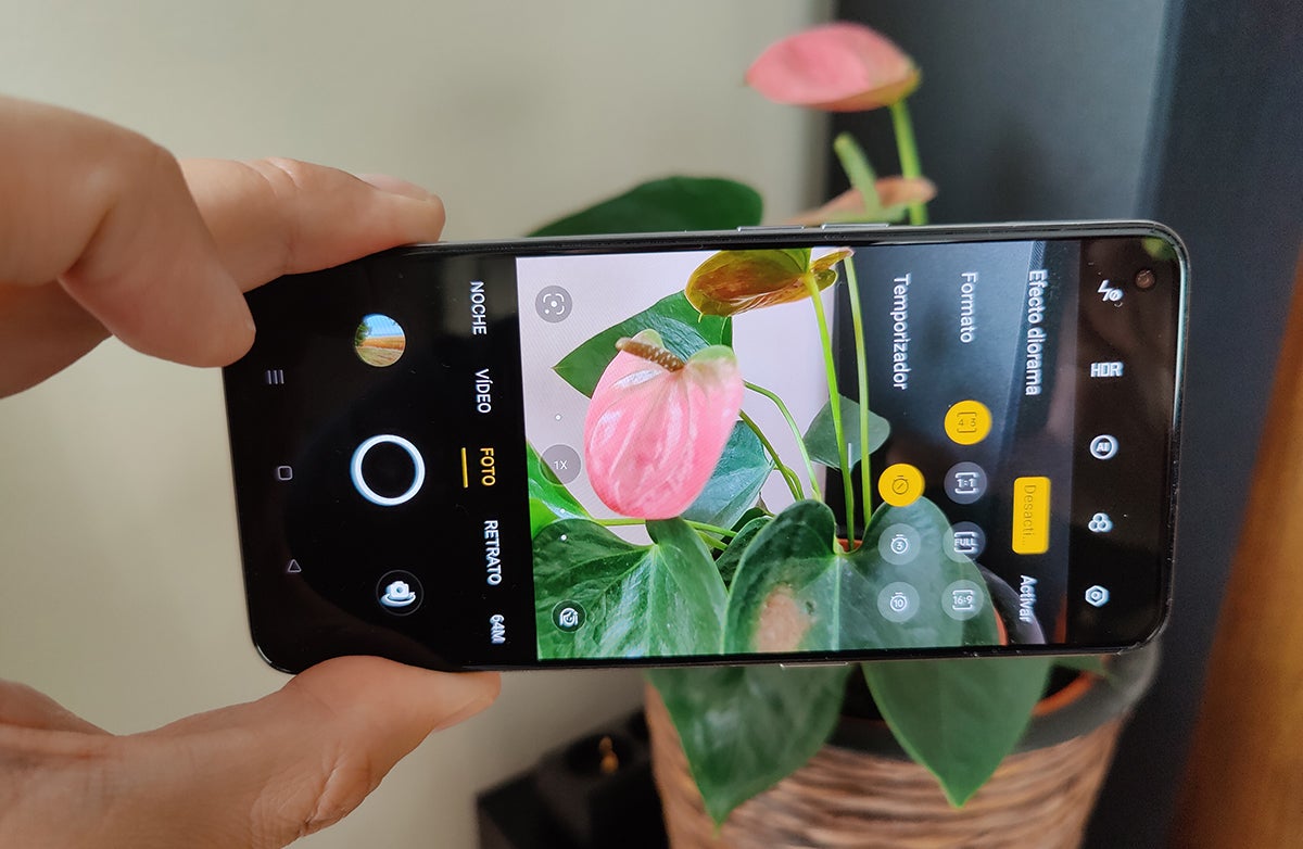 Photo: Carlos Zahumenszky / Gizmodo