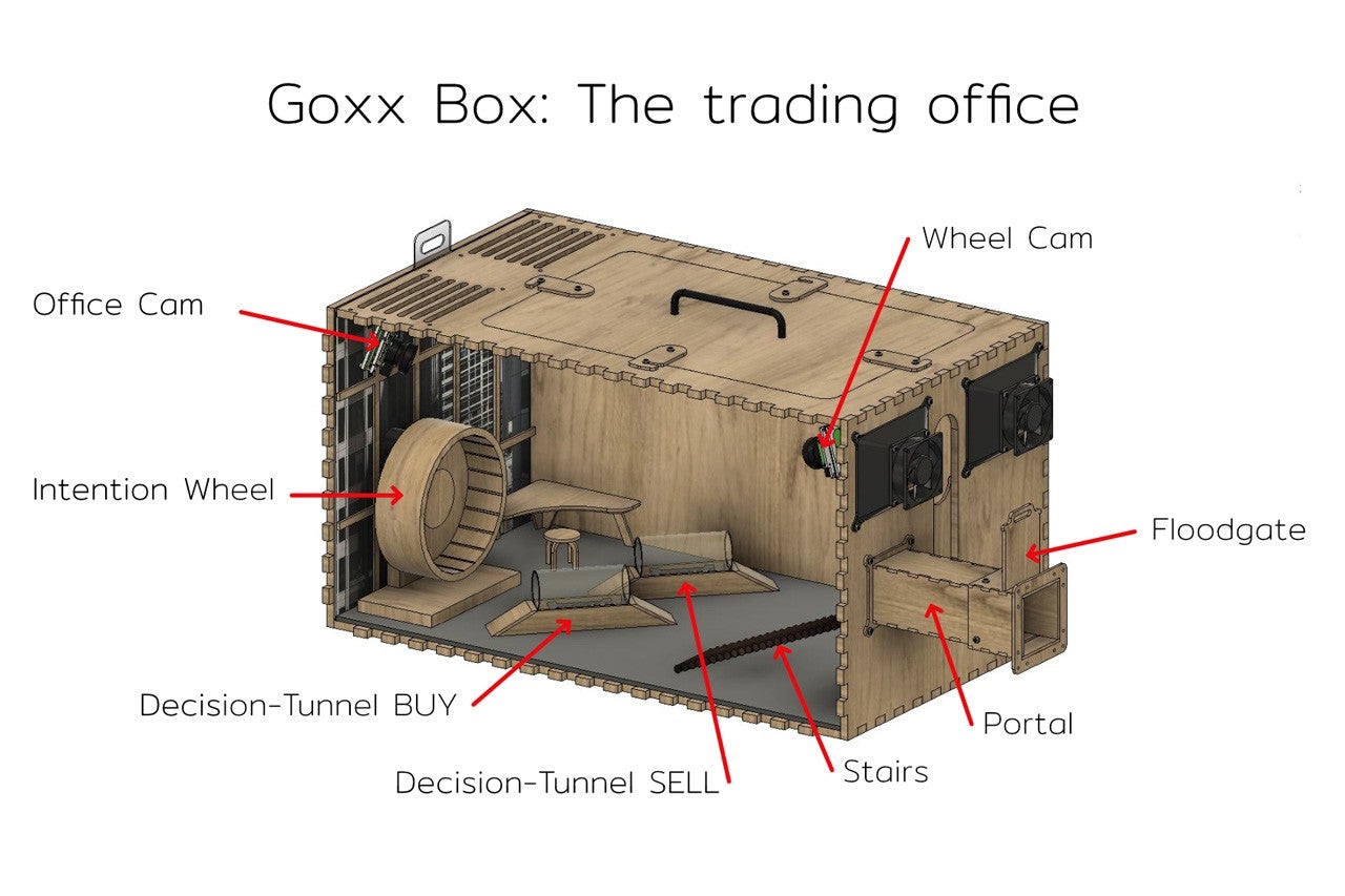 Image: Mr. Goxx / Twitter