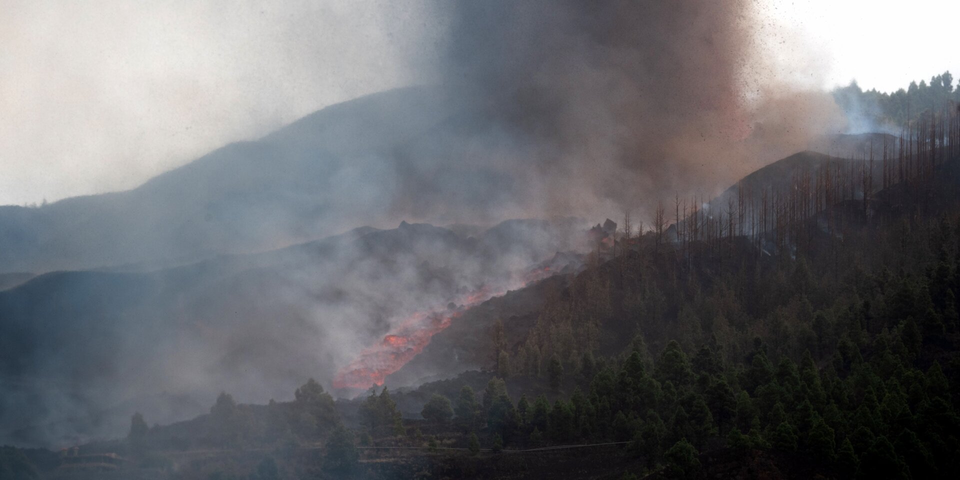 Photo: DESIREE MARTIN / AFP