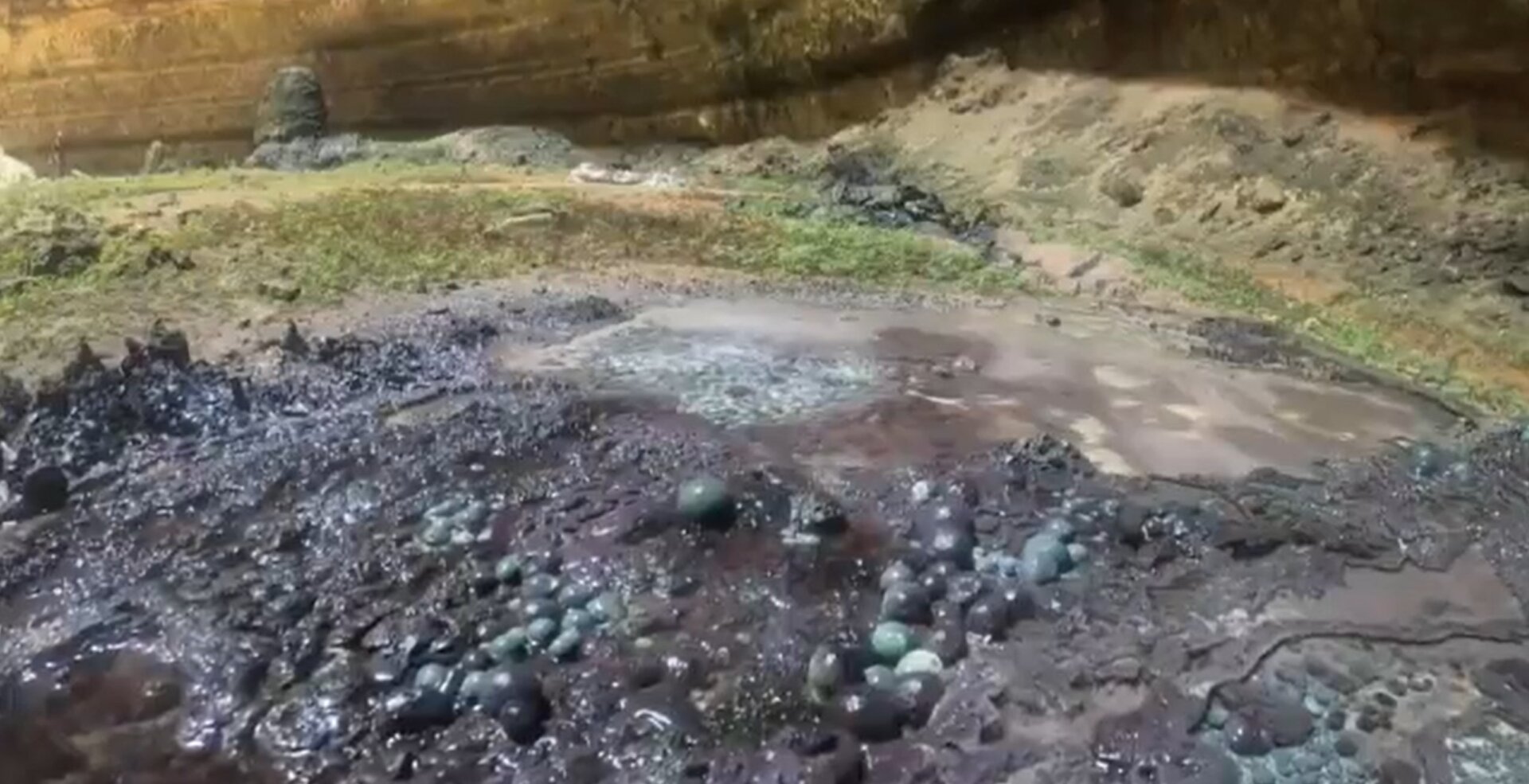 Screenshot: AFP / Twitter