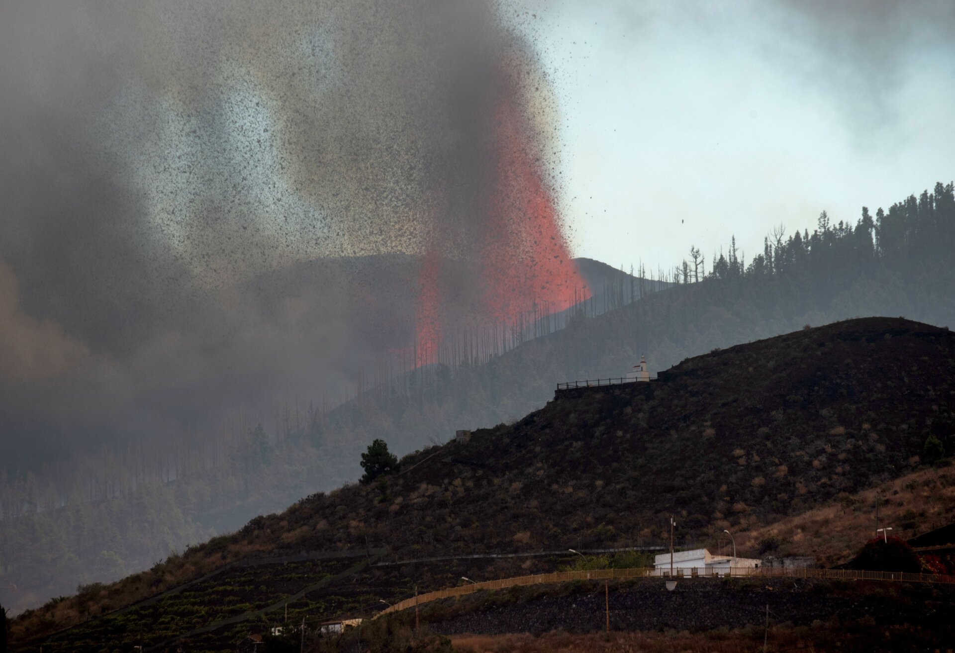Photo: DESIREE MARTIN / AFP