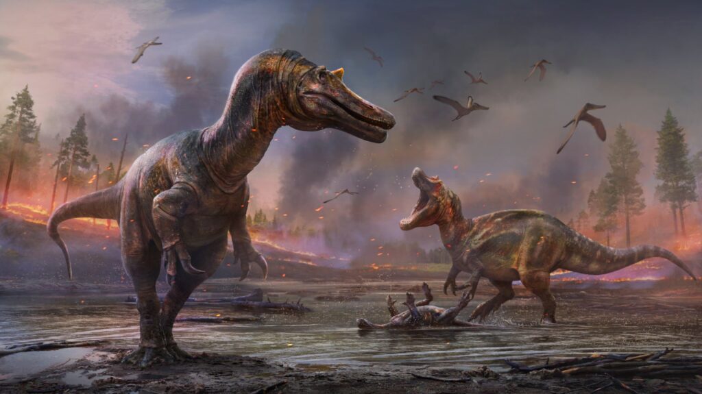 Image: Anthony Hutchings