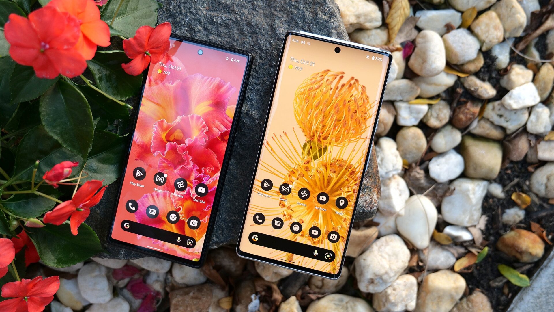 Image: Sam Rutherford