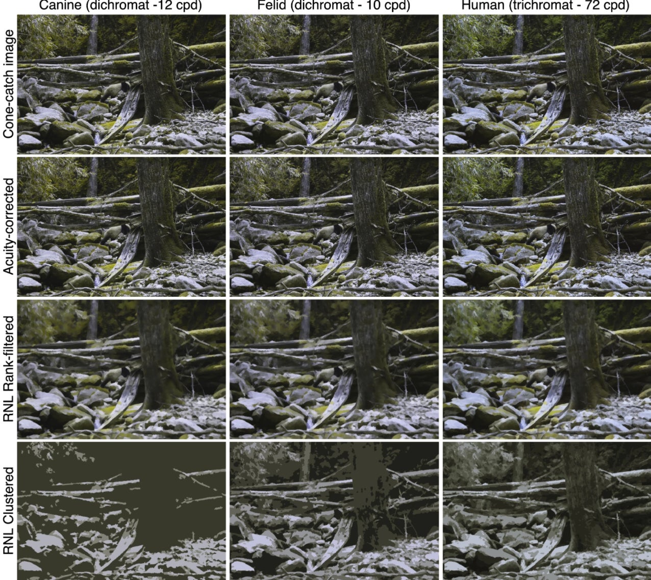 Photo: FuWen Wei /Scientific Reports