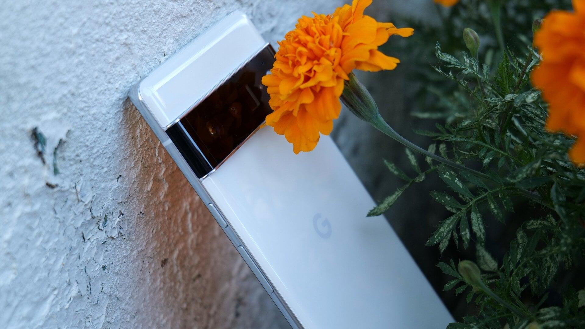 Image: Sam Rutherford