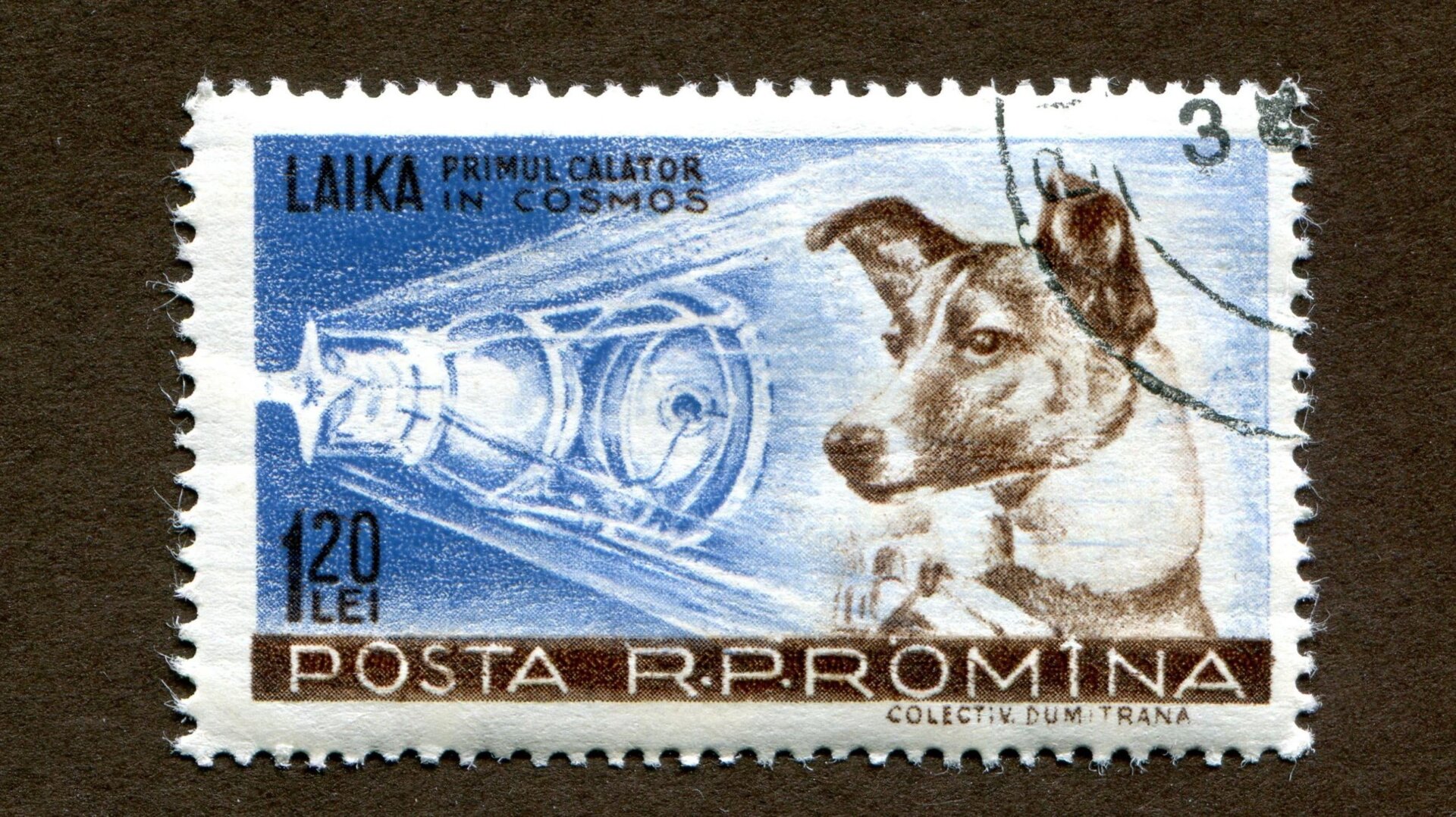 Image: Shan_shan (Shutterstock)