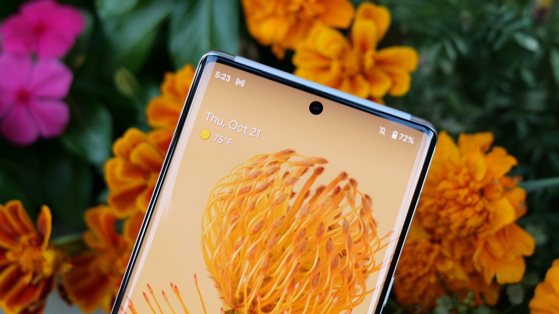 Image: Sam Rutherford