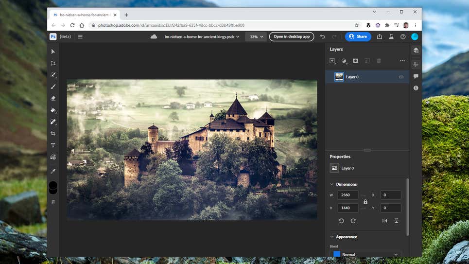Screenshot: Adobe Photoshop