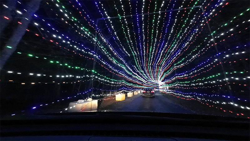 Image: Andrew Liszewski