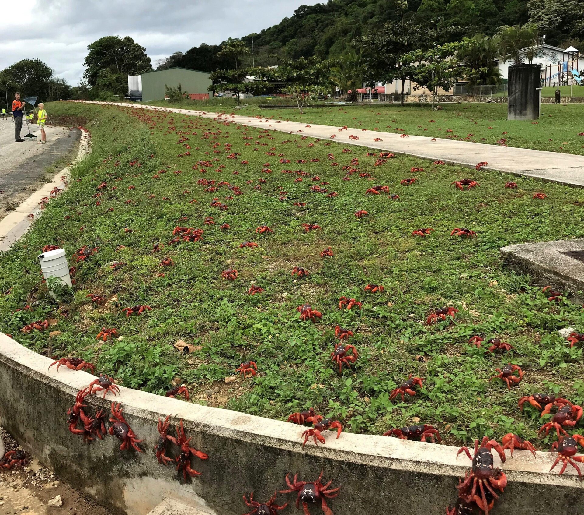 Photo: Parks Australia