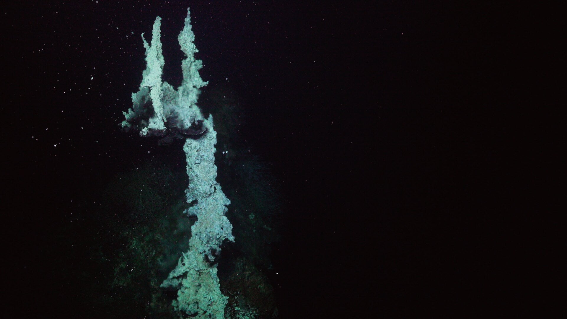 Photo: Schmidt Ocean Institute