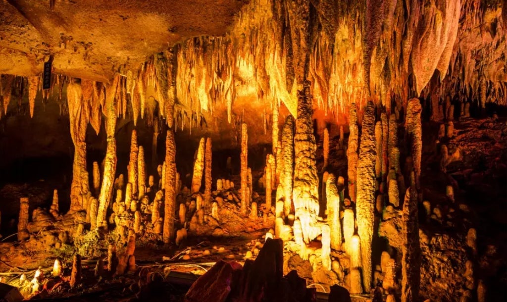 Photo: Haiwei Zhang / Universidad de Innsbruck