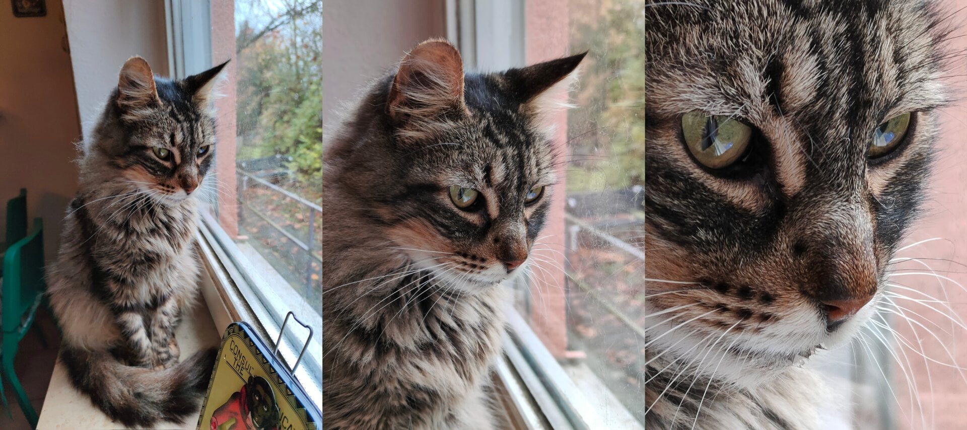 Un ejemplo de la calidad con los tres pasos de zoom disponibles en la cámara del Realme GT Neo 2: 1x, 2x y 5x