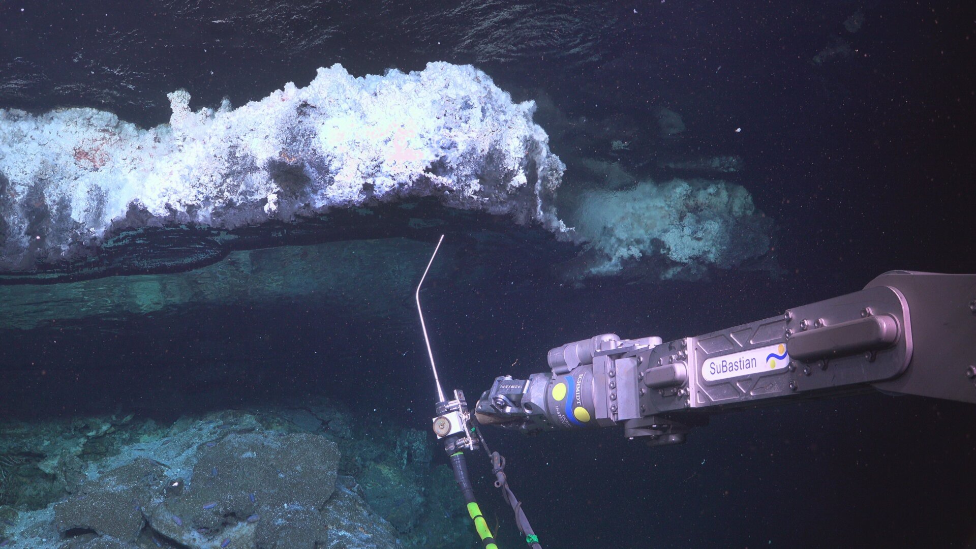 Photo: Schmidt Ocean Institute
