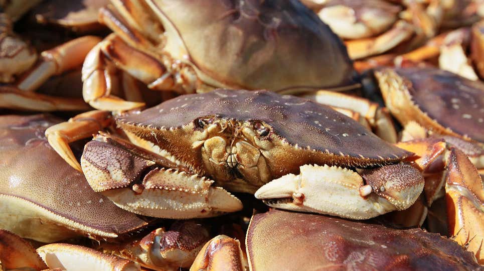 Photo: Justin Sullivan