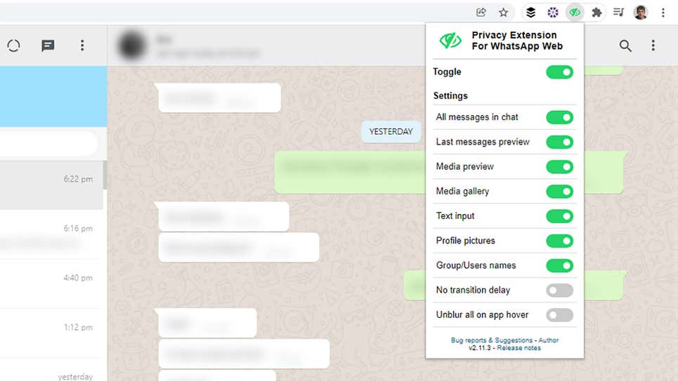 Screenshot: Privacy Extension.