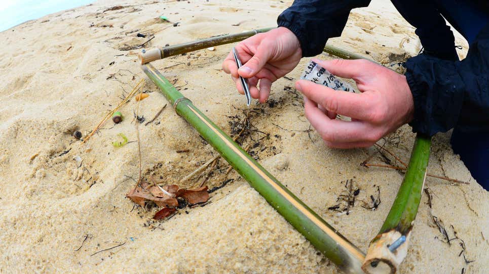 Un científico que recolecta residuos de microplásticos para la investigación en la playa de Contis, en el suroeste de Francia, el 17 de agosto de 2020