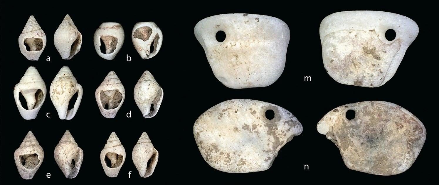 Image: Hodgkins et al., Scientific Reports 2021