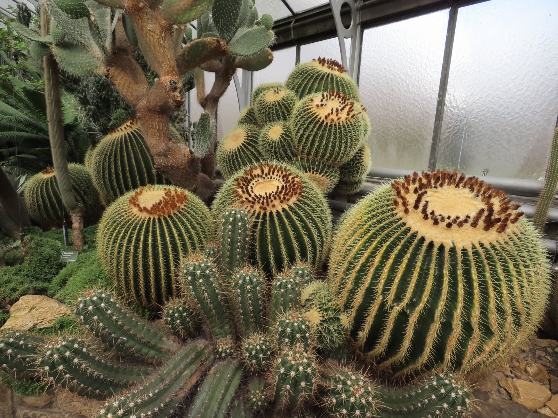 Photo: Carlos Zahumenszky / Gizmodo