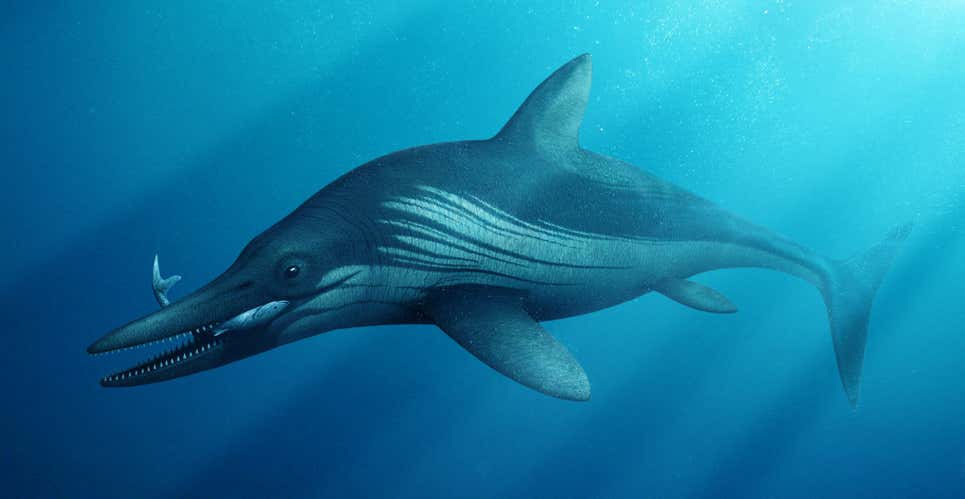 Representación artística de un ictiosaurio
