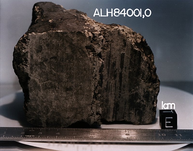 El meteorito marciano ALH84001 . 