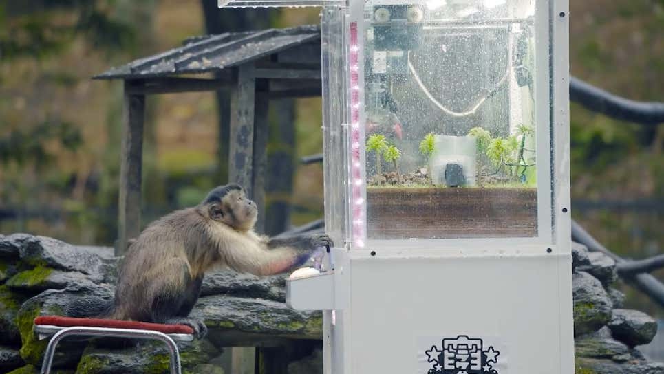 Screenshot: 楽市楽座/YouTube