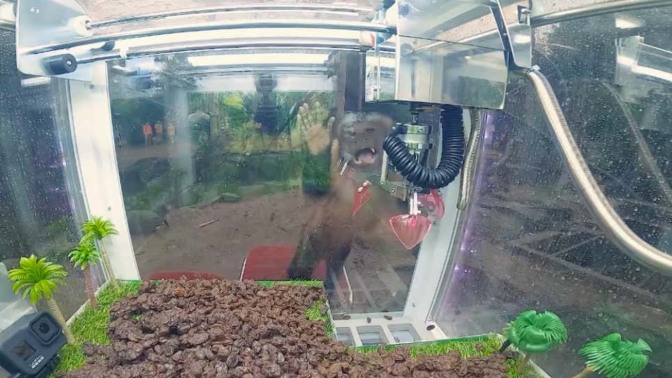 Screenshot: 楽市楽座/YouTube