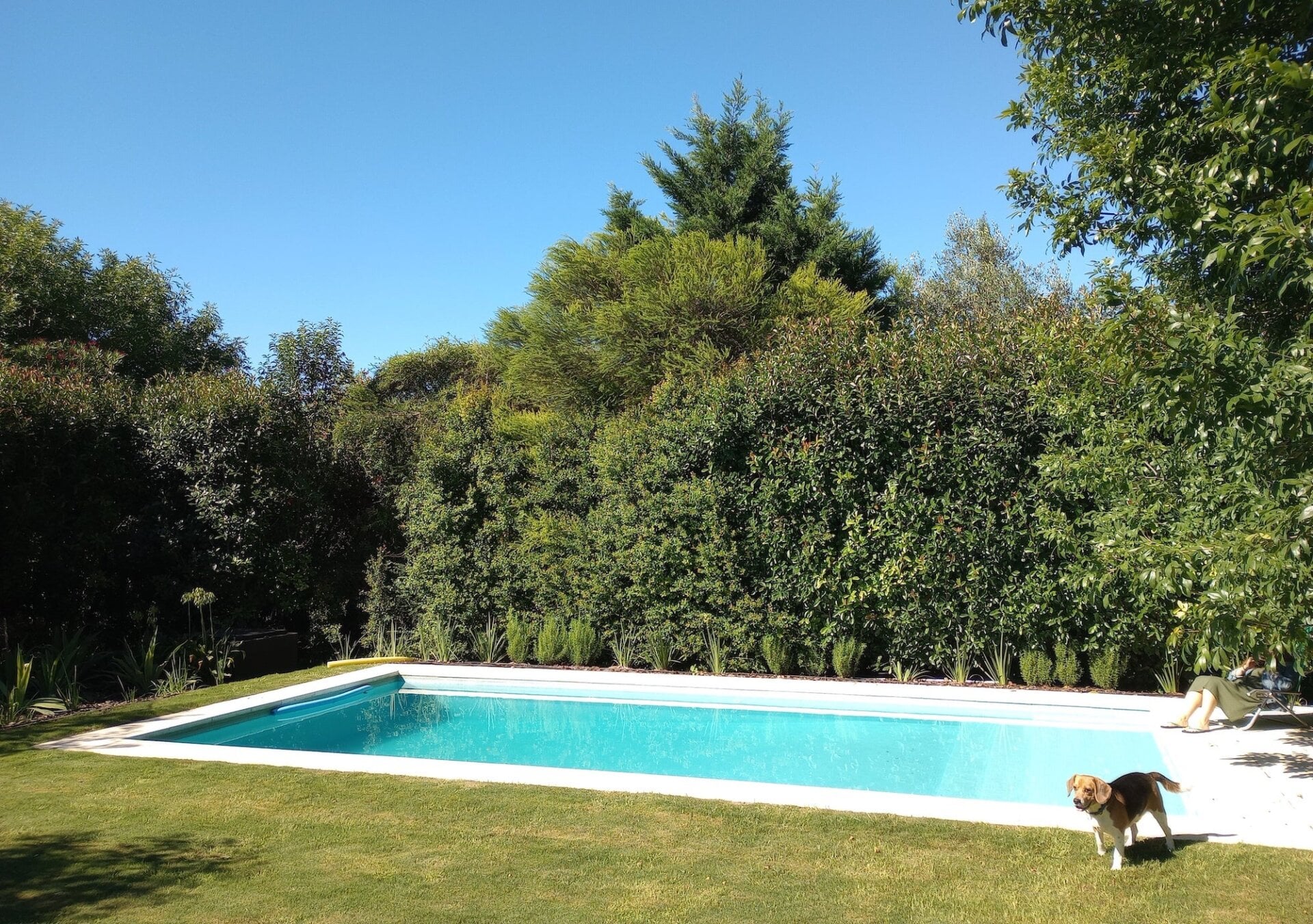 Photo: Eduardo Marín / Gizmodo.