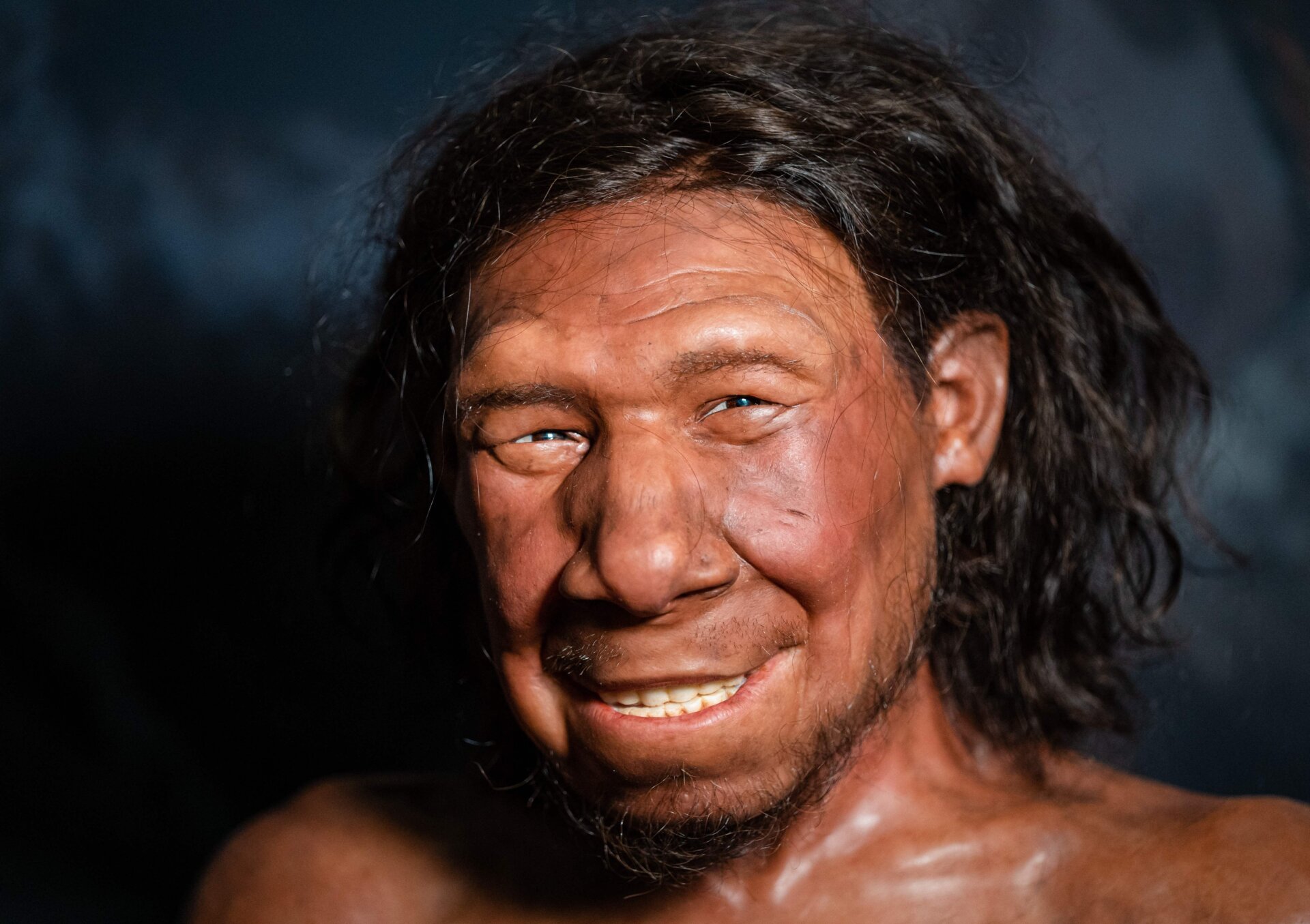 La reconstrucción de la cara de un neandertal.