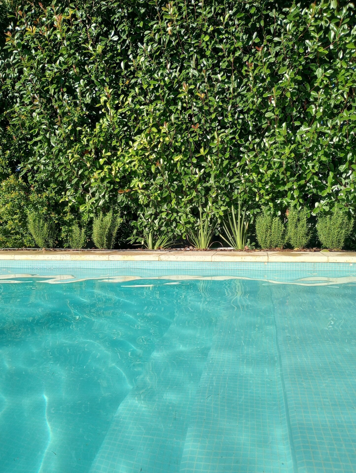 Photo: Eduardo Marín / Gizmodo.