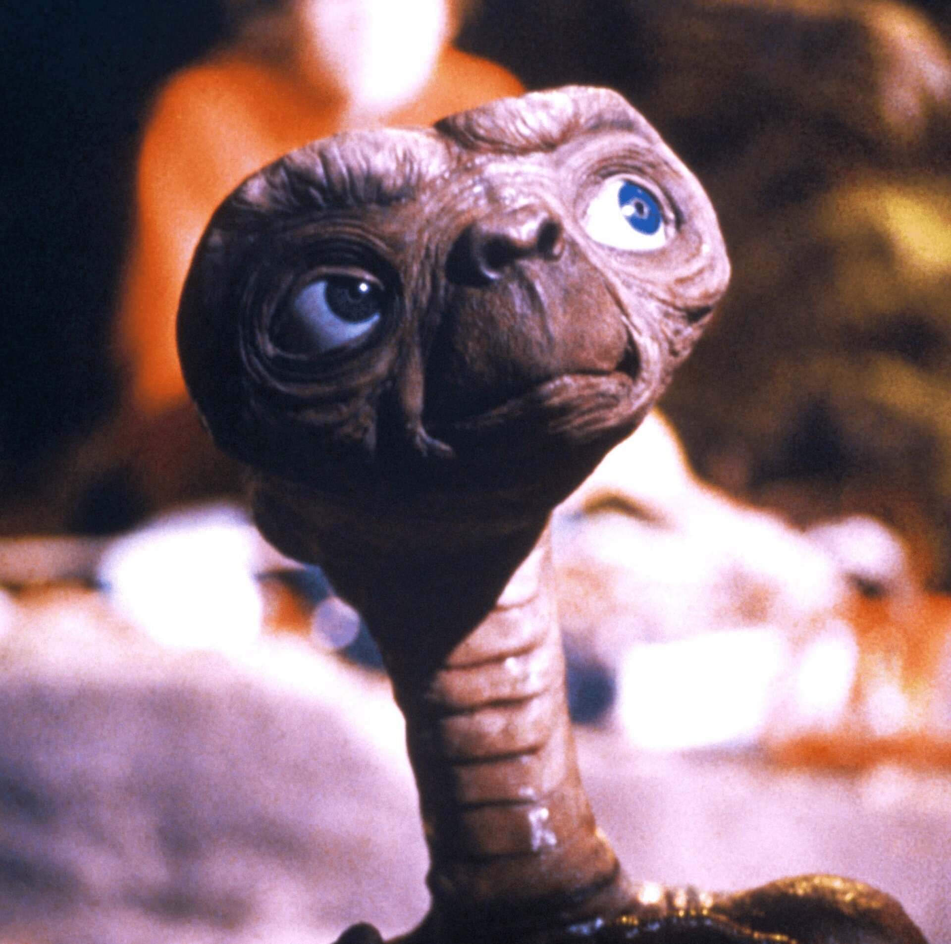 E.T., posiblemente asustado tras leer este artículo.