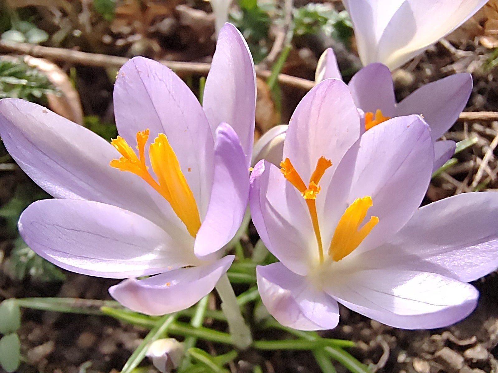 Photo: Carlos Zahumenszky / Gizmodo