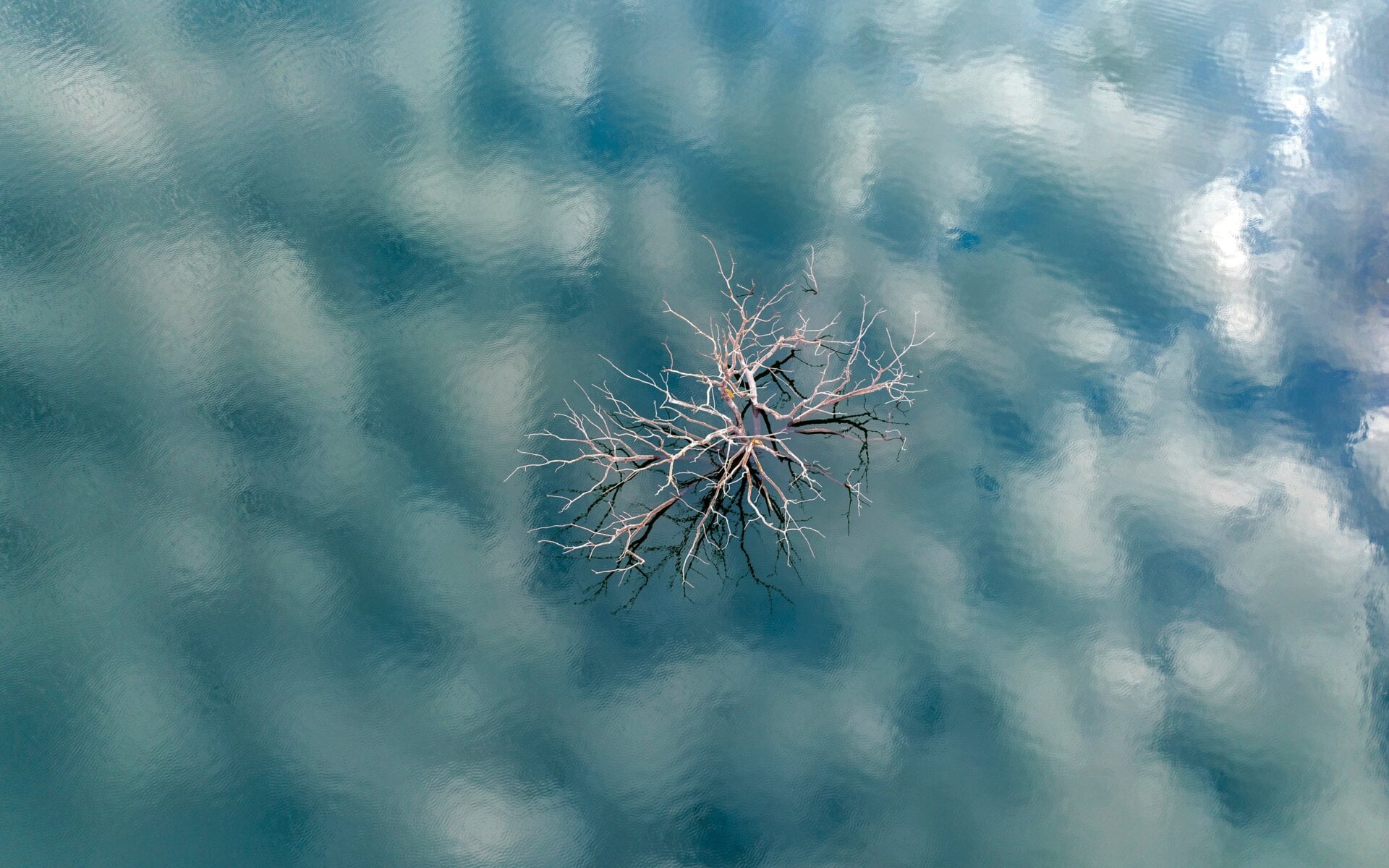 Photo: Emilio Morenatti