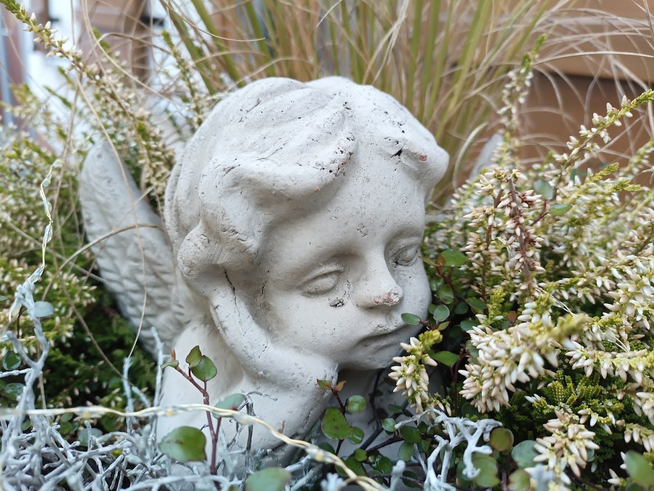 Photo: Carlos Zahumenszky / Gizmodo