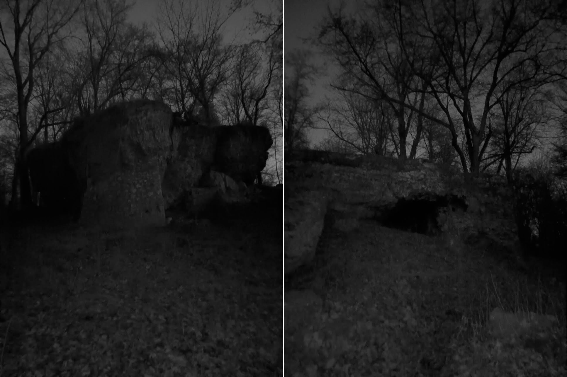 Estas dos fotos se han tomado en la más absoluta oscuridad.