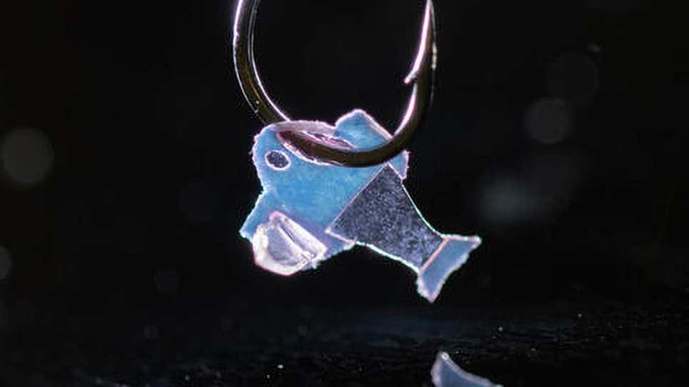 Image: Michael Rosnach, Keel Yong Lee, Sung-Jin Park, Kevin Kit Parker