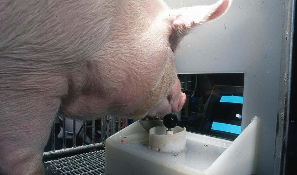 Photo: Eston Martz / Pennsylvania State University