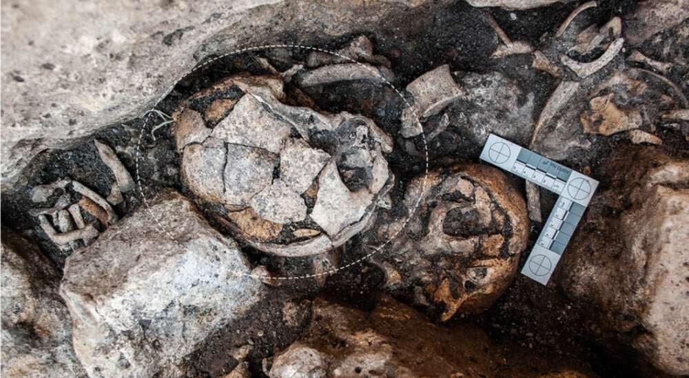 Image: S Díaz-Navarro et al. 2022, Scientific Reports. CC BY 4.0