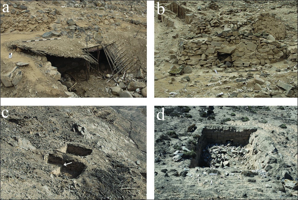 Image: J. L. Bongers et al., 2022/Antiquity