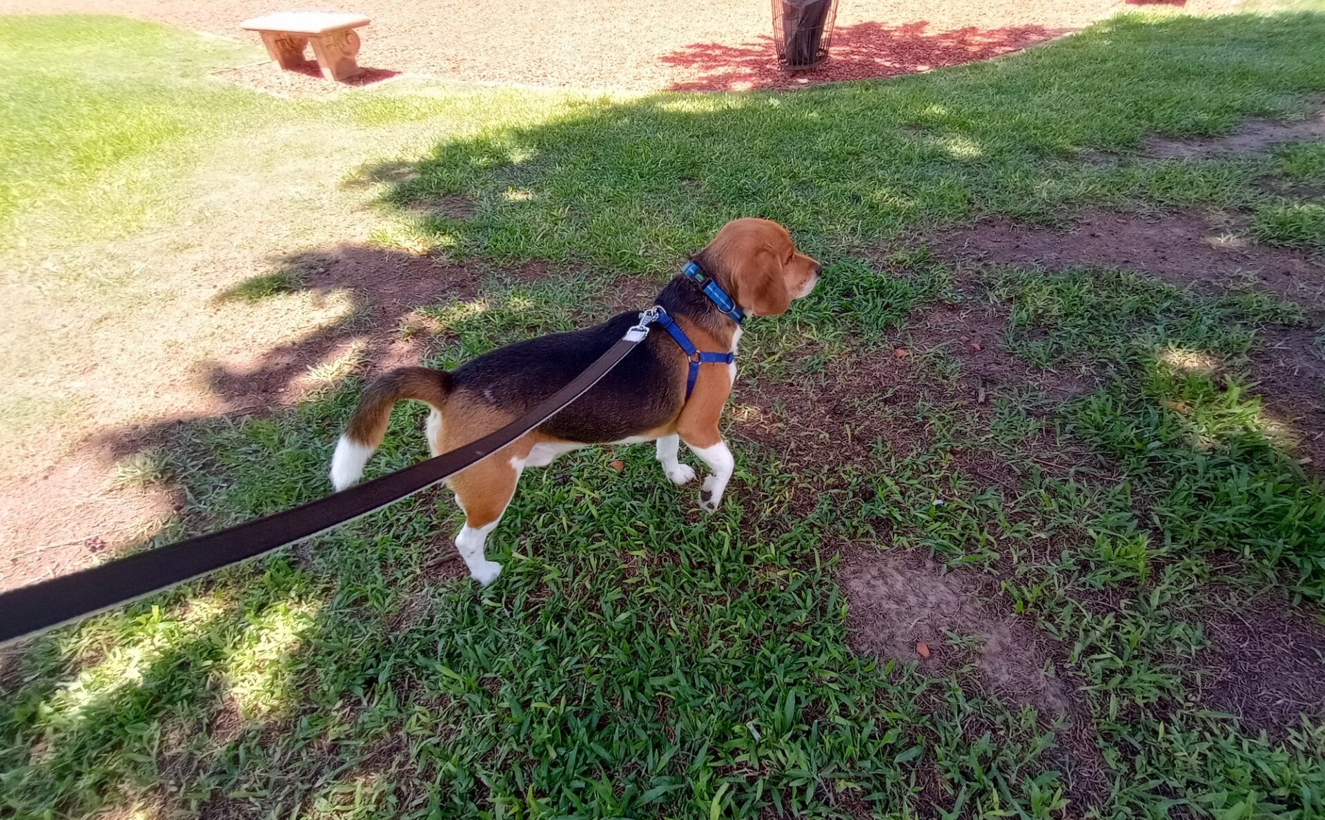 Photo: Eduardo Marín / Gizmodo.
